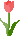 �`���[���b�v
