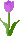 �`���[���b�v